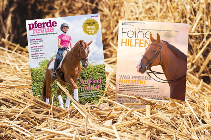 Kombiabo Pferderevue + Feine Hilfen